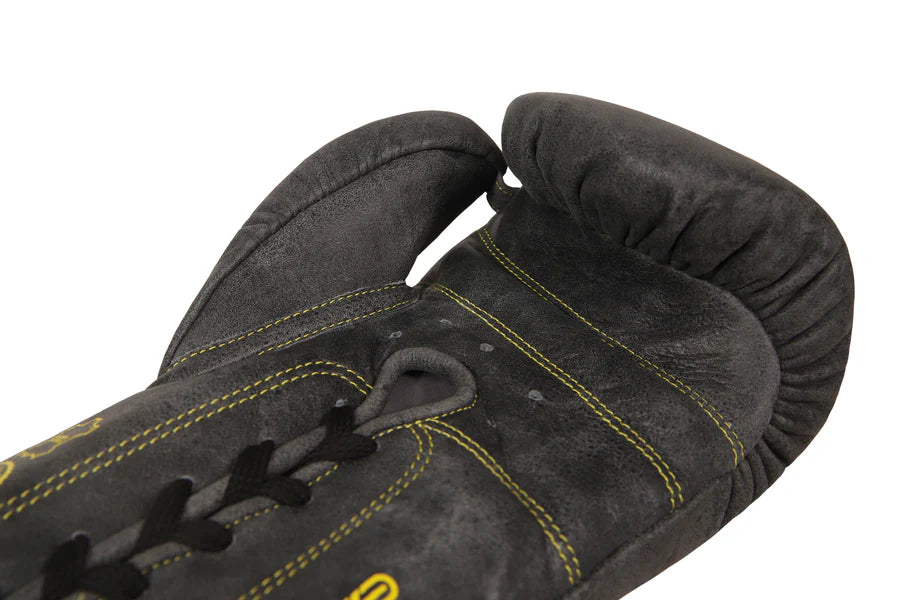 EAGLE EYE Boxing Gloves