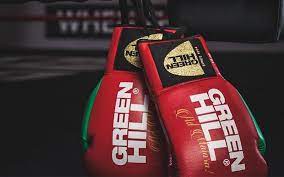Uniswift Boxing Gloves Ultra: Revolutionizing Boxing Gear
