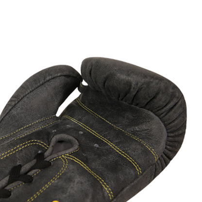EAGLE EYE Boxing Gloves