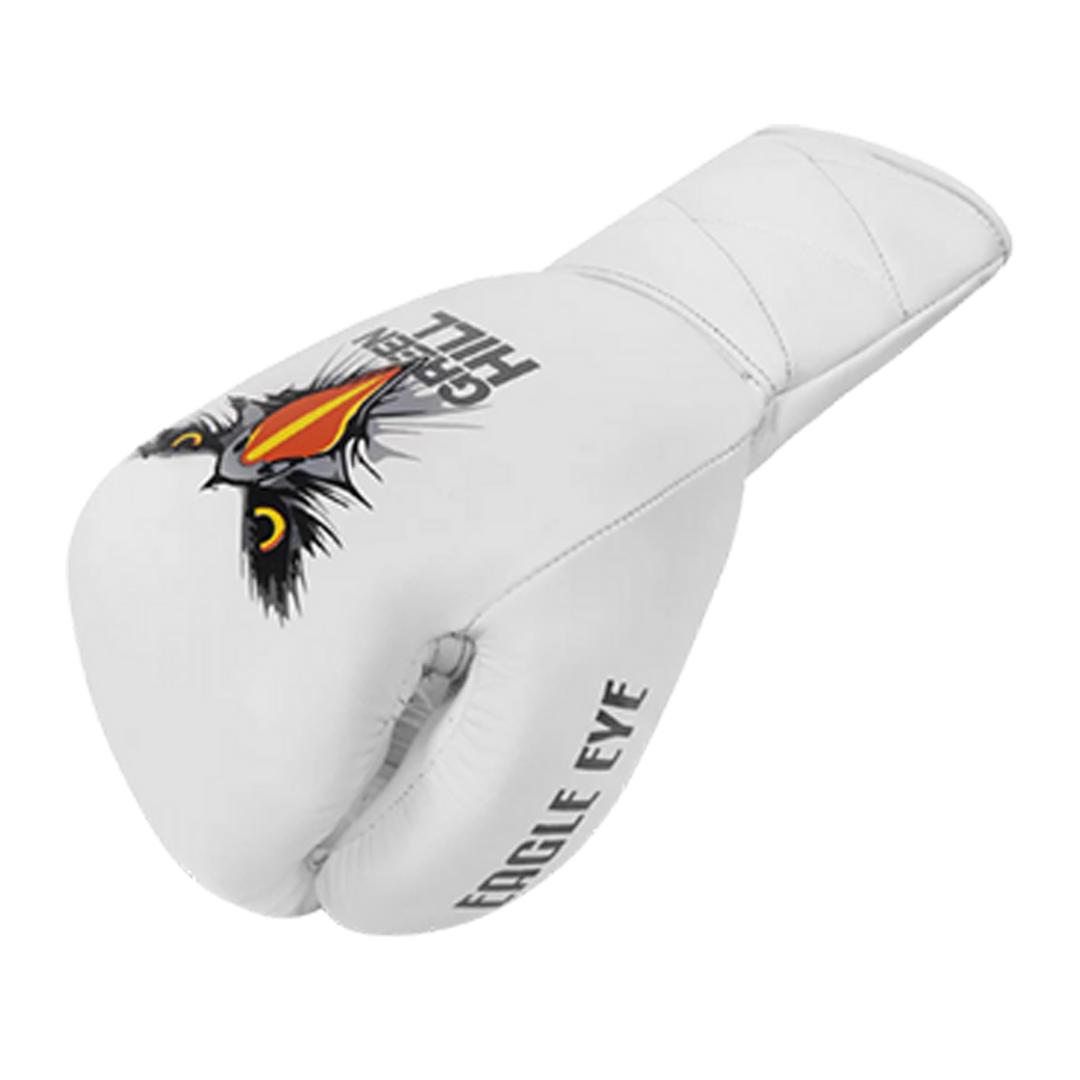 EAGLE EYE Boxing Gloves