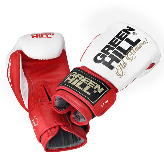LEGEND Boxing Gloves