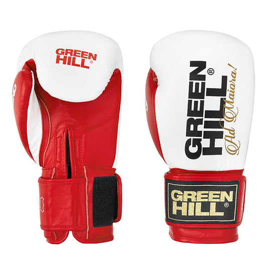 LEGEND Boxing Gloves