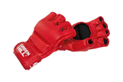 Boxing Gloves Sambo MMA FIAS APPROVED