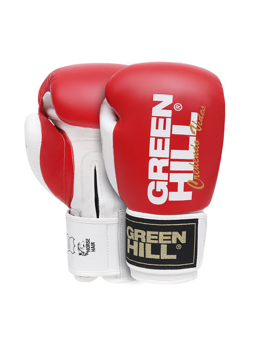 LEGEND Boxing Gloves