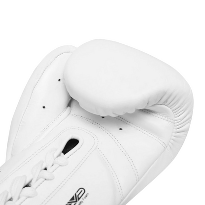 DRAGON FORCE Boxing Gloves