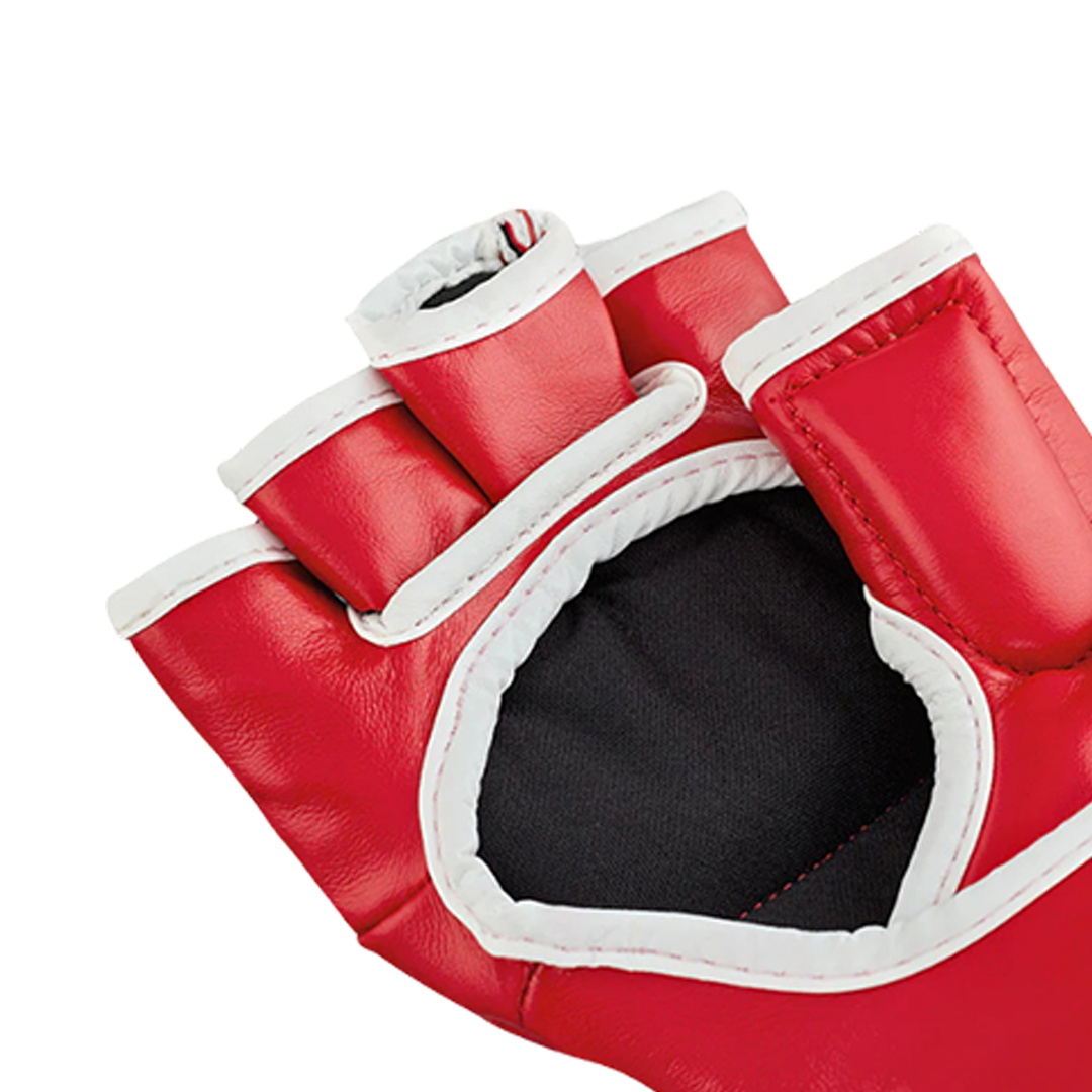 COMBAT SAMBO MMA Gloves