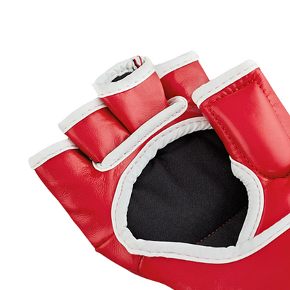 COMBAT SAMBO MMA Gloves