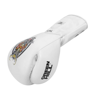 DRAGON FORCE Boxing Gloves