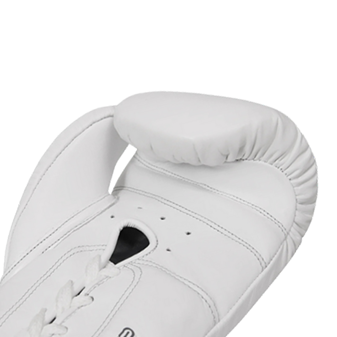 EAGLE EYE Boxing Gloves