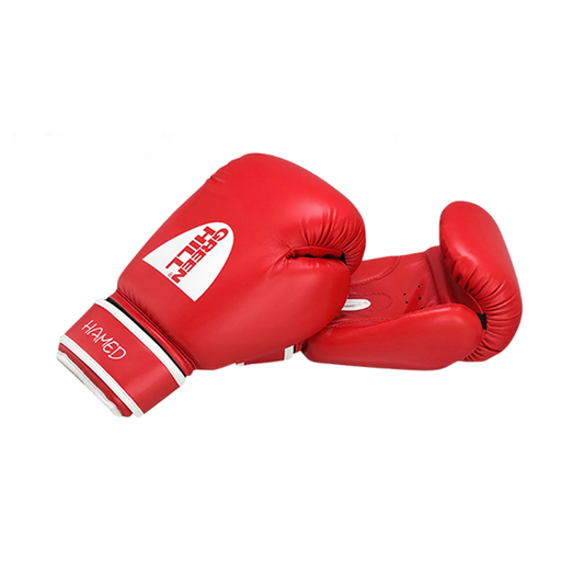 HAMED Boxing Gloves