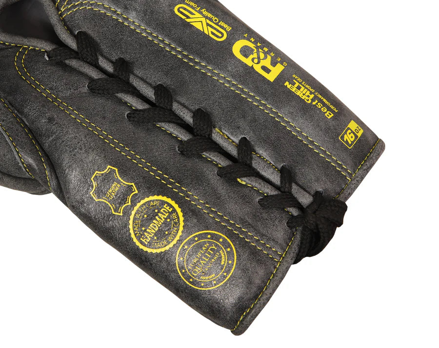 EAGLE EYE Boxing Gloves