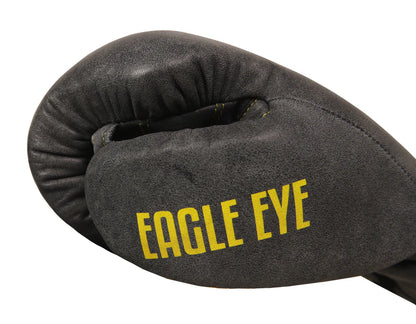 EAGLE EYE Boxing Gloves