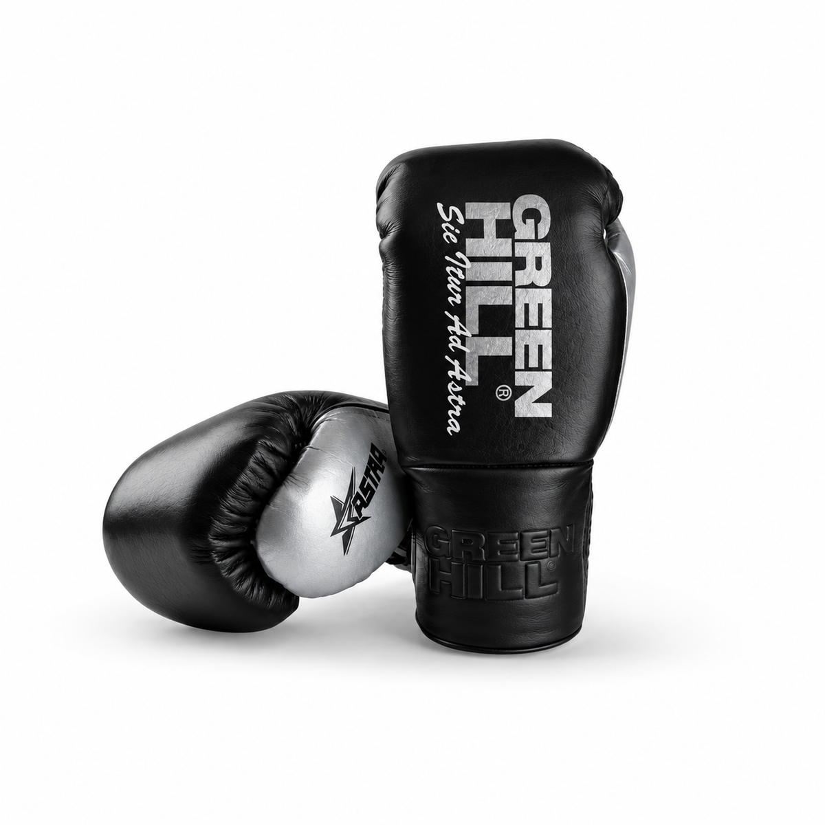 ASTRA - Boxing Gloves