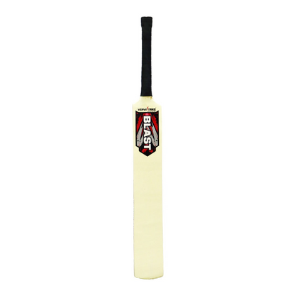 Blast Bat Kit - Kids Lightweight Junior Cricket Bat - Sri Lankan Curve