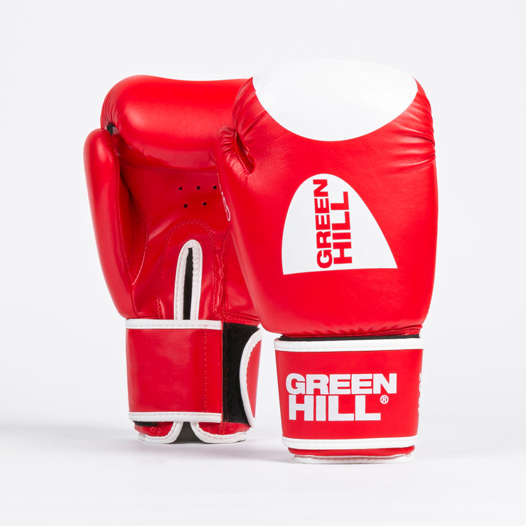 Boxing Gloves HAMED TARGET