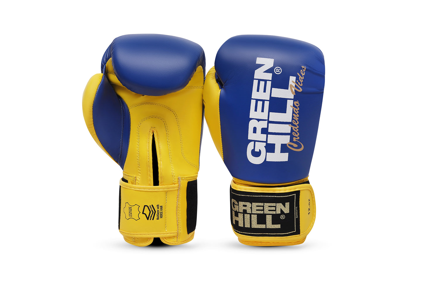 ULTRA Boxing Gloves