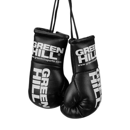 Mini Boxing Gloves - Car Mirror Souvenir
