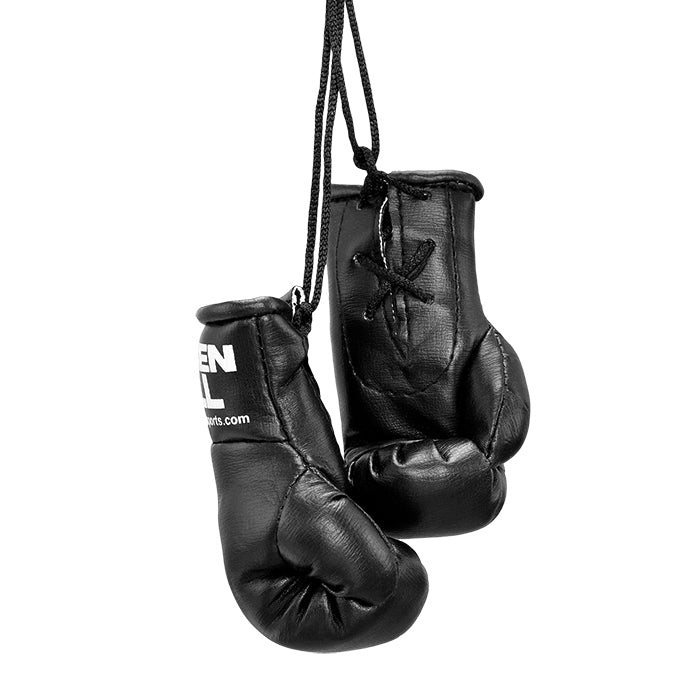 Mini Boxing Gloves - Car Mirror Souvenir