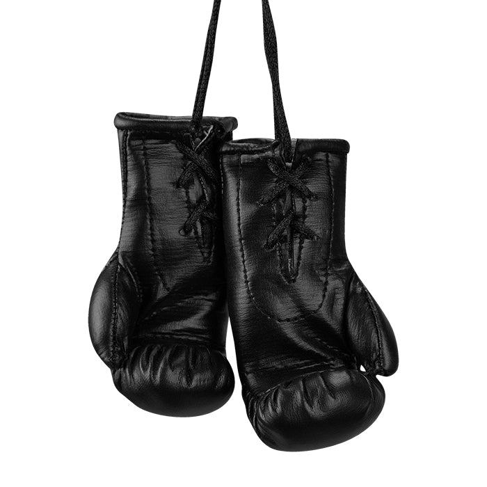Mini Boxing Gloves - Car Mirror Souvenir