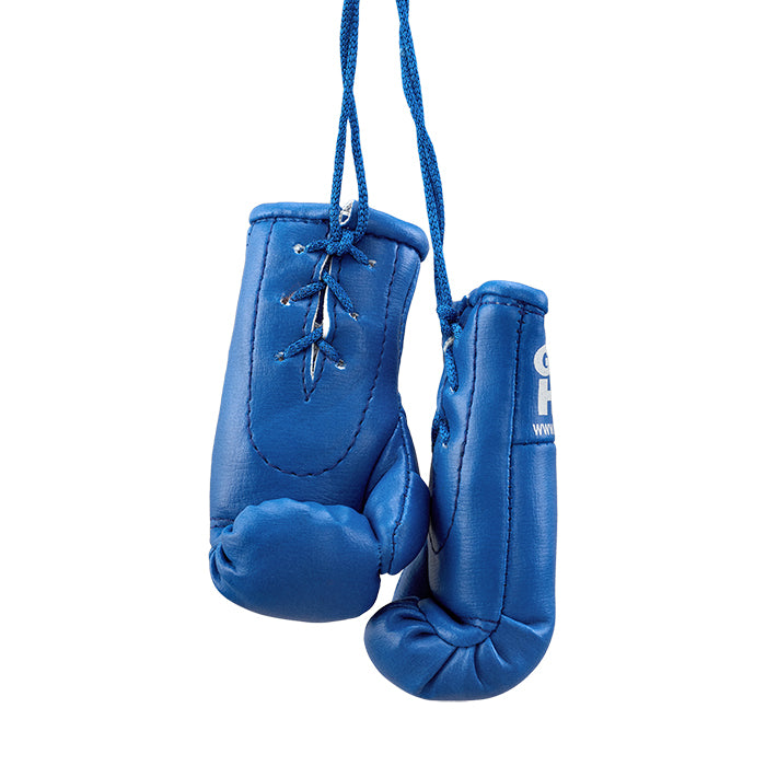 Mini Boxing Gloves - Car Mirror Souvenir