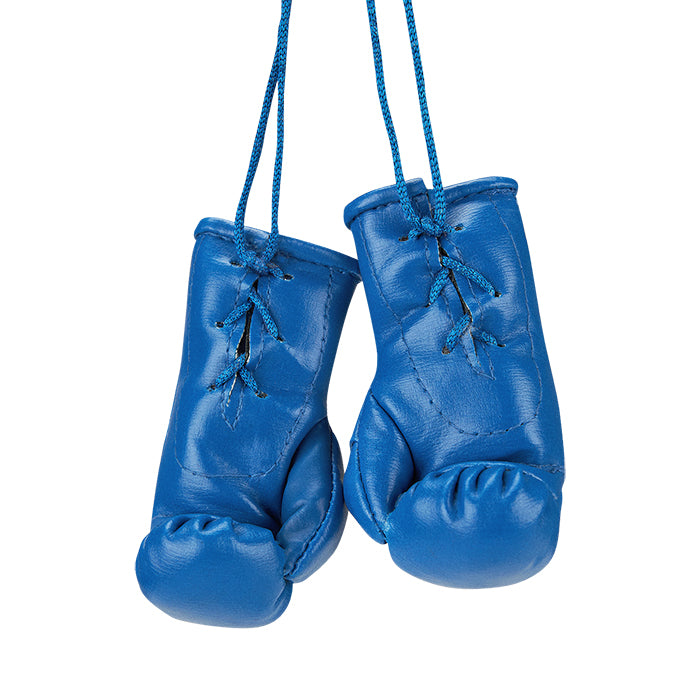 Mini Boxing Gloves - Car Mirror Souvenir