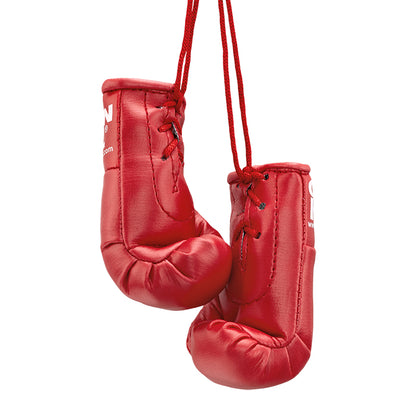 Mini Boxing Gloves - Car Mirror Souvenir