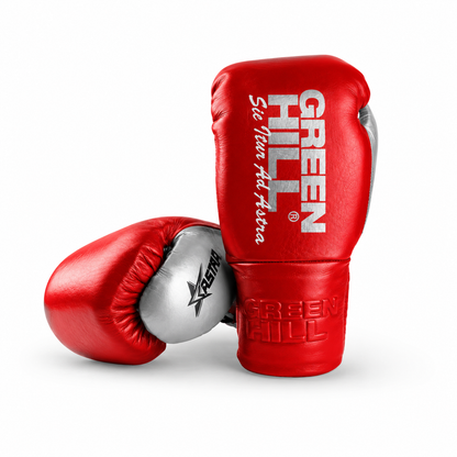 ASTRA - Boxing Gloves
