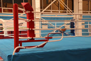 BOXING TRAINING RING RRP