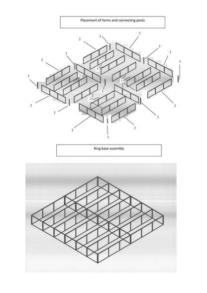 Boxing Training Ring